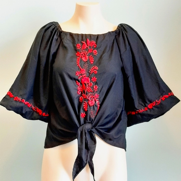 🅱️🅾️G🅾️ Zara red floral embroidery black cotton blouse - Picture 1 of 6